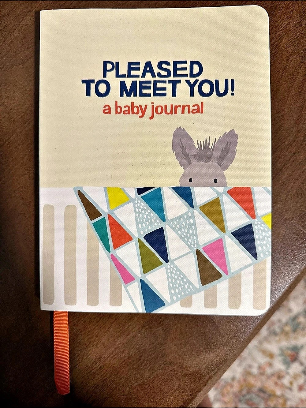 Pleased to Meet You! A Baby Journal